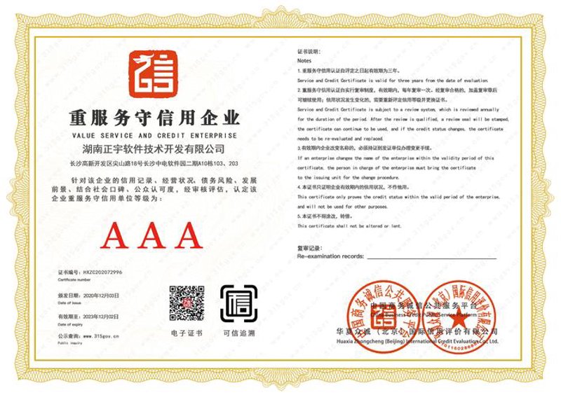 湖南软件定制市场发展趋势与机遇分析